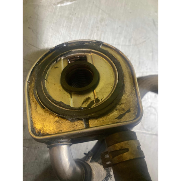 Resfriador De Óleo Picasso 2007 2.0 Automático