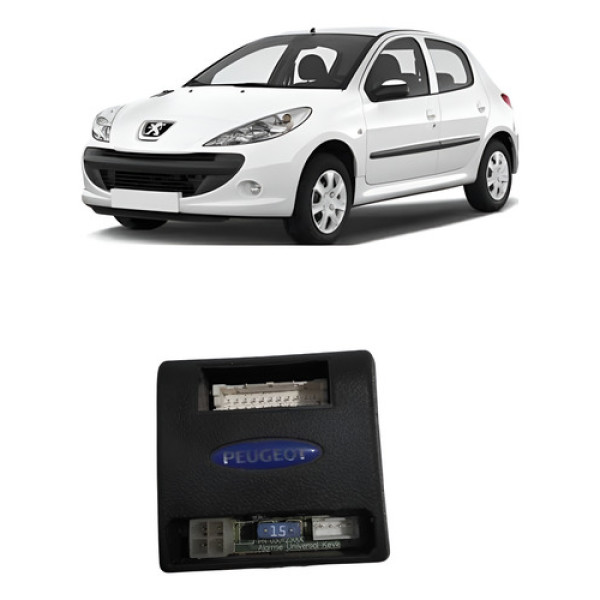 Modulo Central Alarme Peugeot 206