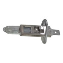 Lampadas  12v Modelo H1 55w Original Philips 12258