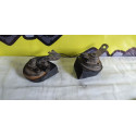 Par Buzinas Fiat Marea 99 20v