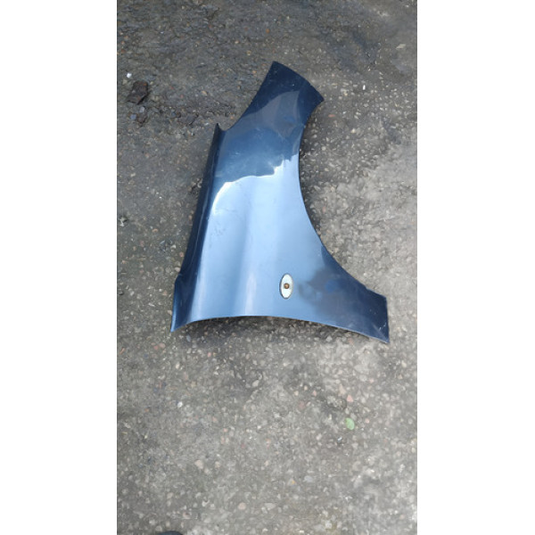 Paralama Peugeot 206 99/09 *detalhes