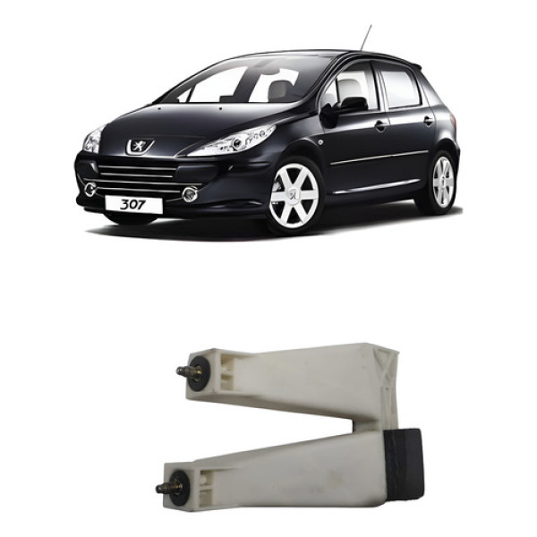 Guia Vidro Porta Traseira Direita Peugeot 307 2007