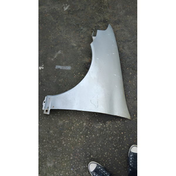 Paralama Palio Fire Siena Strada Weekend 2001/2008