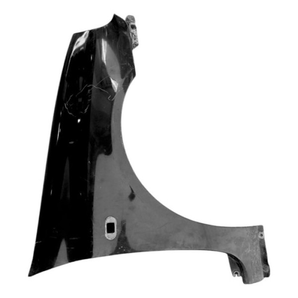 Paralama Clio 03/11 Lado Direito ( Passageiro ) 18248