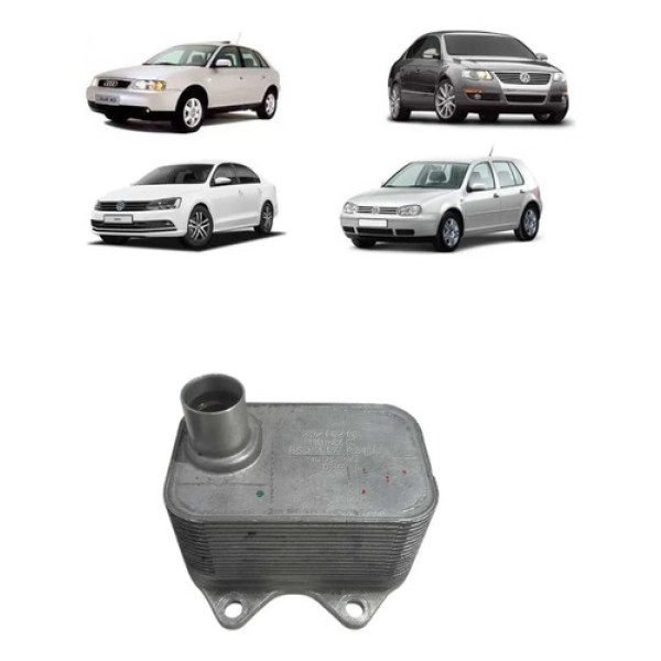 Resfriador Óleo Motor Audi Golf Jetta Passat 2.0 2006