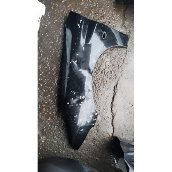 Paralama Peugeot 206 1999 2000 2001 Até 2011 Lado Esquerdo