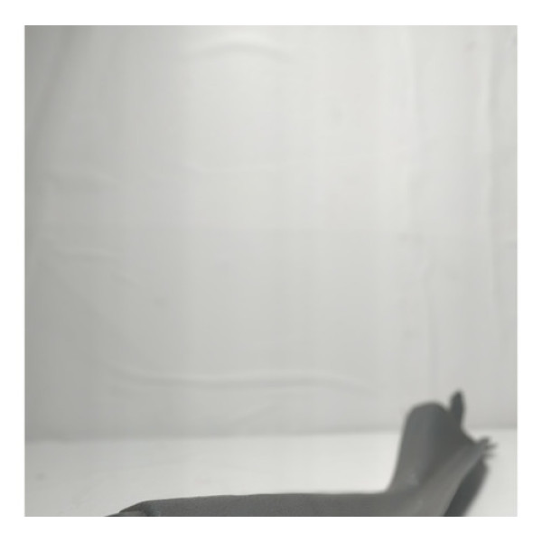 Moldura Porta Malas Direito Clio 03/08