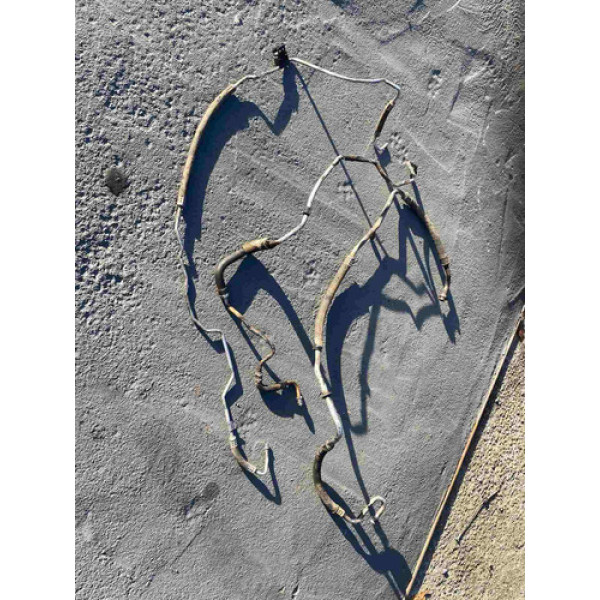 Jogo Mangueira Scenic 1.6 16v