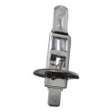 Lâmpada Halogenas Para Faróis H1      12v  55w