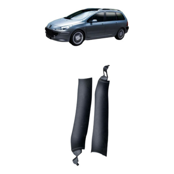 Acabamento Lateral Tampa Traseira 307 Sw 2010 Par