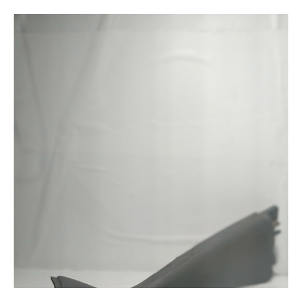 Moldura Porta Malas Esquerda Clio 03/08