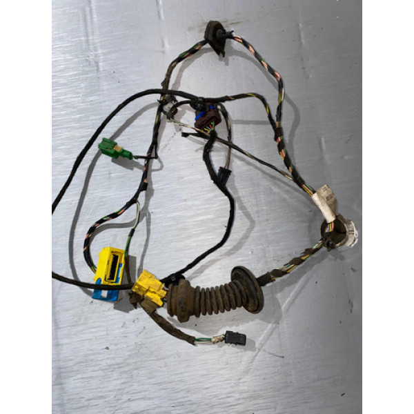 Chicote Porta Dianteira Direita C4 Pallas 2010