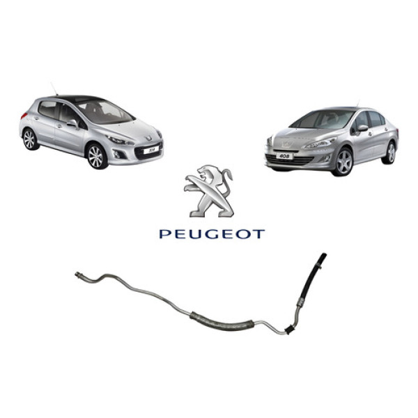Mangueira Direção Hidráulica Peugeot 308/408 2015