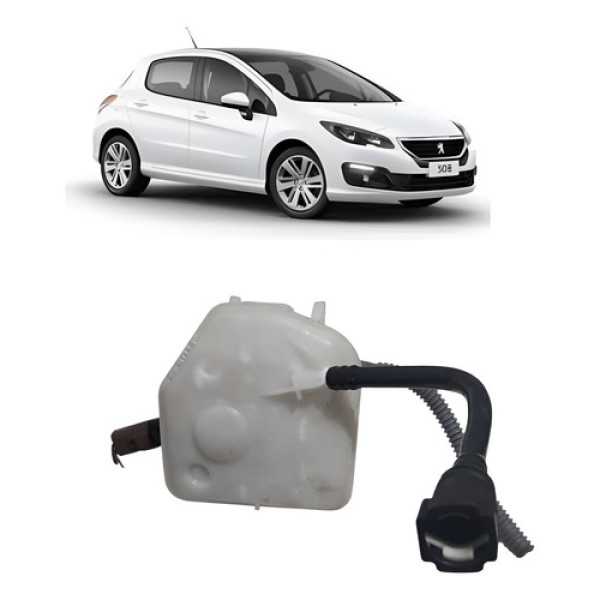 Reservatório Fluido Freio Peugeot 308 408 2010