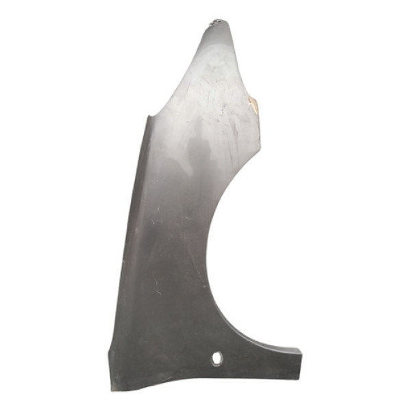 Paralama Dianteiro L/d Peugeot 206 1998 A 2011