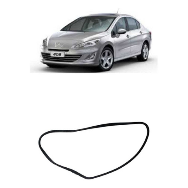 Borracha Porta Traseira Direita Peugeot 408 2012
